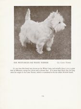 WESTIE WEST HIGHLAND WHITE TERRIER ANTIGO VINTAGE 1934 NOMEADO PÁGINA DE IMPRESSÃO DE CACHORRO  comprar usado  Enviando para Brazil