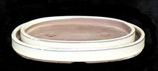 Bonsai bonsaischale creme gebraucht kaufen  Karlsruhe