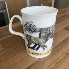 Roy kirkham horses for sale  HERNE BAY