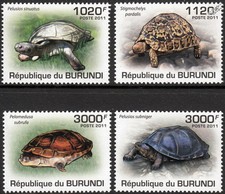 Tortoise turtle terrapin for sale  PONTYPRIDD