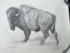 Dan brewer buffalo for sale  Katy