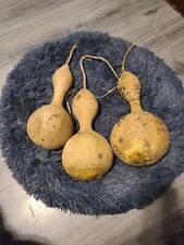 Martin birdhouse gourd for sale  Marshville