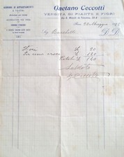 Carta intestata gaetano usato  Roma