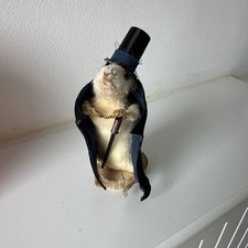 Taxidermy mouse cape for sale  GATESHEAD