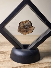 Stunning hell creek for sale Stunning hell creek for sale  SOLIHULL