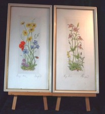 Riginal radierungen blumenbild gebraucht kaufen  Fuldabrück