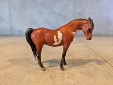 mare mini for sale mare mini for sale Hillsboro
