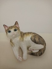 Royal worcester kittens for sale  DUNDEE