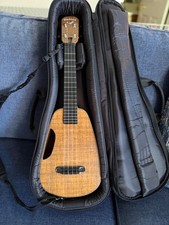 Blackbird clara concert for sale  Sparks