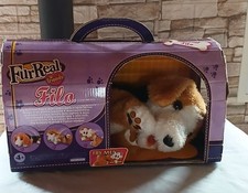 Filo petit beagle d'occasion  Asfeld