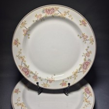 Steelite royal doulton for sale  NORWICH