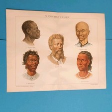 Rig chromolithographie mensche gebraucht kaufen Rig chromolithographie mensche gebraucht kaufen  Nauen