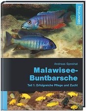 Malawisee buntbarsche teil gebraucht kaufen  Berlin
