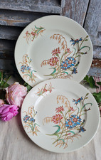 Anciennes assiettes plates d'occasion  Le Poinçonnet
