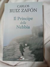 Libro carlos ruiz usato  San Martino Dall Argine
