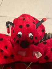 Vestito carnevale coccinella usato  Vigonovo