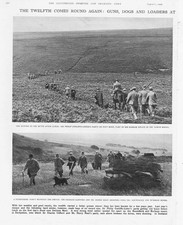 Opening grouse shooting for sale  GLASGOW