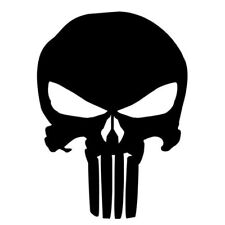 Punisher skull vinyl for sale  Valdosta