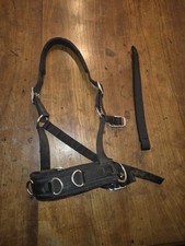Kappzaum busse gebraucht kaufen  Müllheim