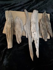 Lot natural driftwood for sale  Gonzales