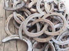 Used steel horseshoes for sale  Chino Valley