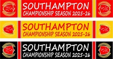 Southampton championship seaso for sale  BIRMINGHAM