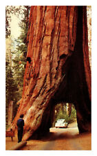 California yosemite national for sale  Hudson