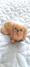 Pekingese dog aynsley for sale  NOTTINGHAM