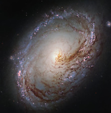 871 page hubble for sale  Springfield