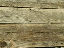 Vintage year old for sale  Scottsbluff