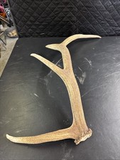 moose sheds for sale  Anaconda