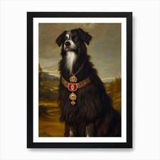 Pyrenean shepherd renaissance for sale  UK
