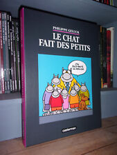 Chat petits philippe d'occasion  Le Mans