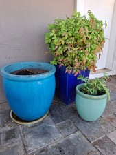 Different sized beautifully for sale  Redwood City