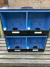 show cages canary for sale show cages canary for sale WHITBY