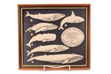 Vtg whales scrimshaw for sale  Arlington