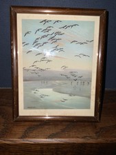Framed print safe for sale  LLANFYLLIN