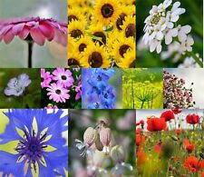 Blumenwiese samen wildblumen gebraucht kaufen  Aachen