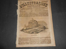 1872 corona ungheria usato  Roma