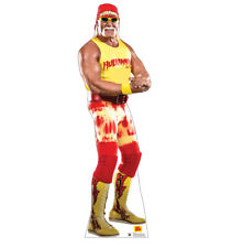 Wwe hulk hogan for sale  Salem