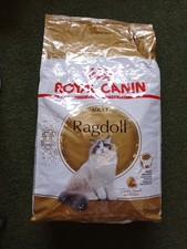 ragdoll cat for sale ragdoll cat for sale BATLEY