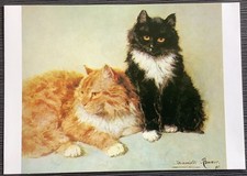 Cats ron ron for sale  HUDDERSFIELD
