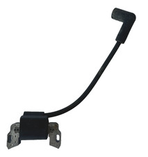 briggs bobina usato briggs bobina usato Altavilla Silentina