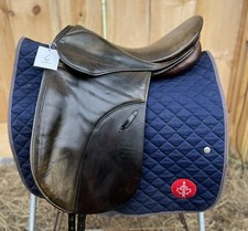 Stubben romanus dressage for sale  Cape Vincent
