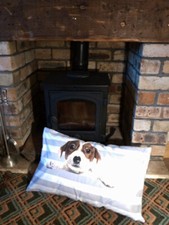 Dog cushion cover for sale  COLDSTREAM
