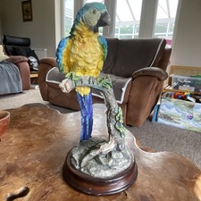 Large macaw figurine for sale  DISS