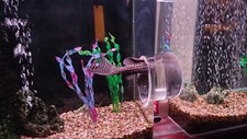 Aquarium tank accessories d'occasion  Expédié en Belgium