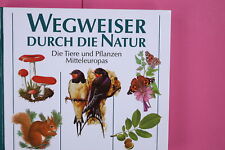160803 wegweiser durch gebraucht kaufen  Herzebrock-Clarholz