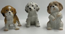 Vintage shih tzu for sale  Loves Park