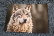 Seltene tier postkarte gebraucht kaufen  Hamburg
